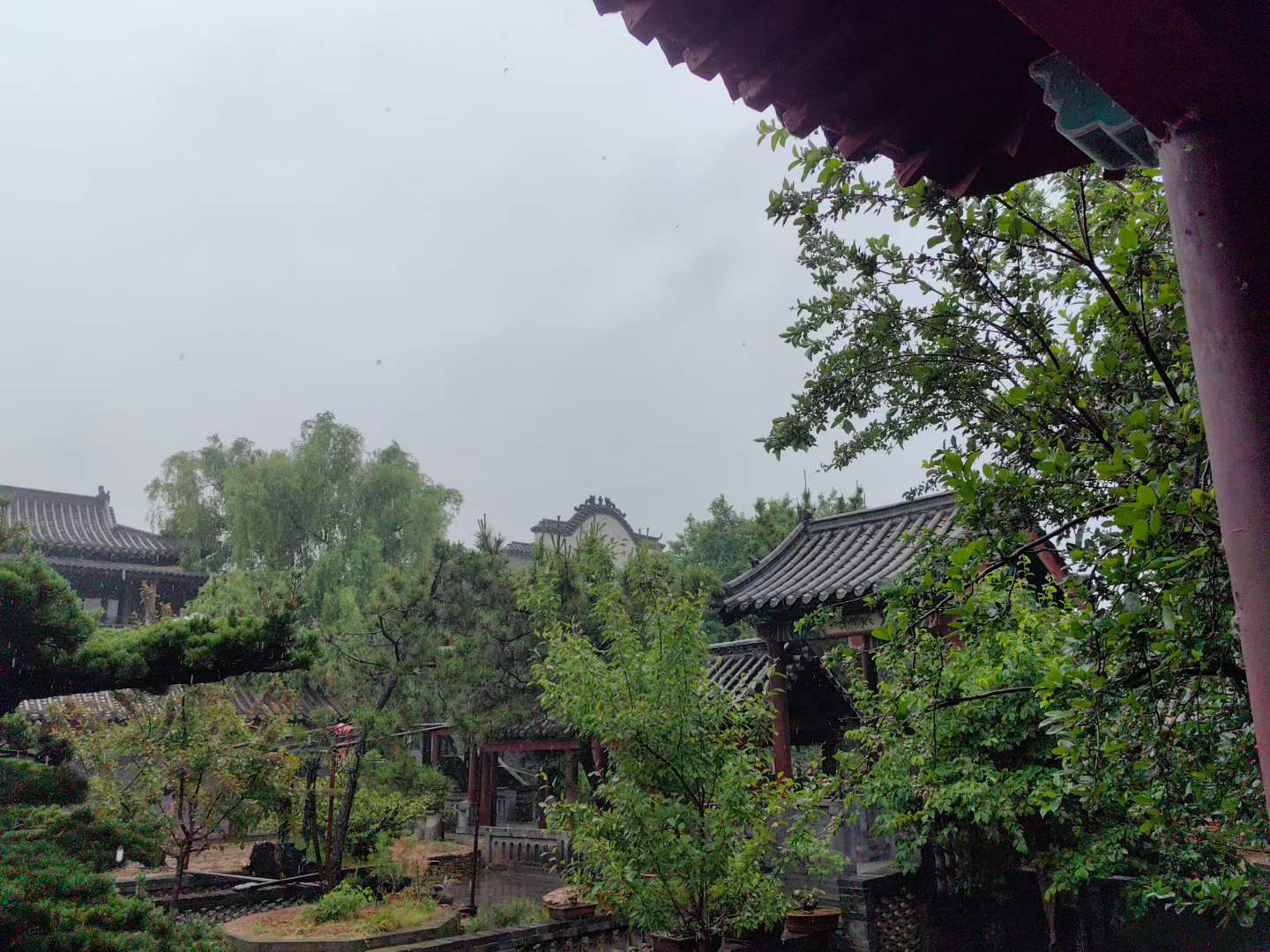 微信图片_2026-05-19_105038_276.jpg