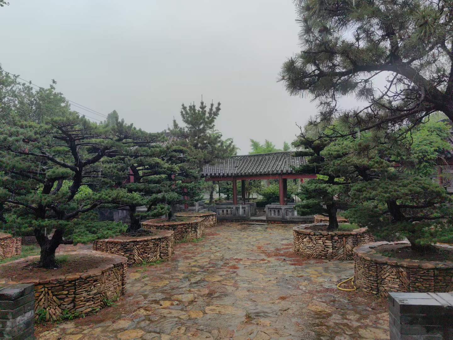 微信图片_2026-05-19_105055_359.jpg