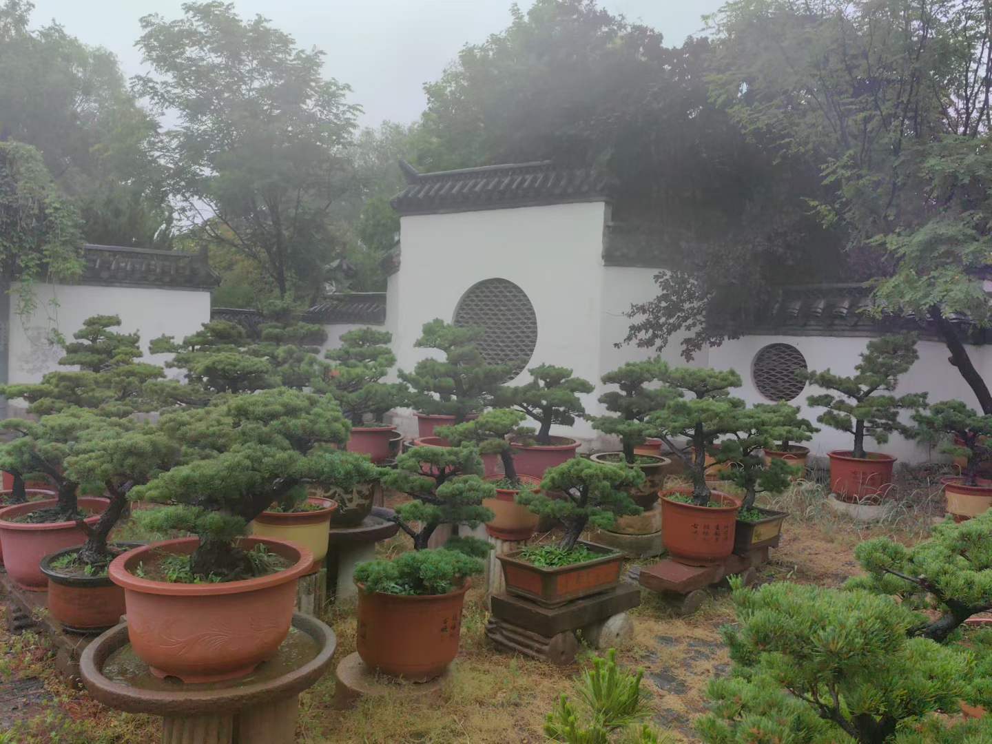 微信图片_2026-05-19_105047_681.jpg