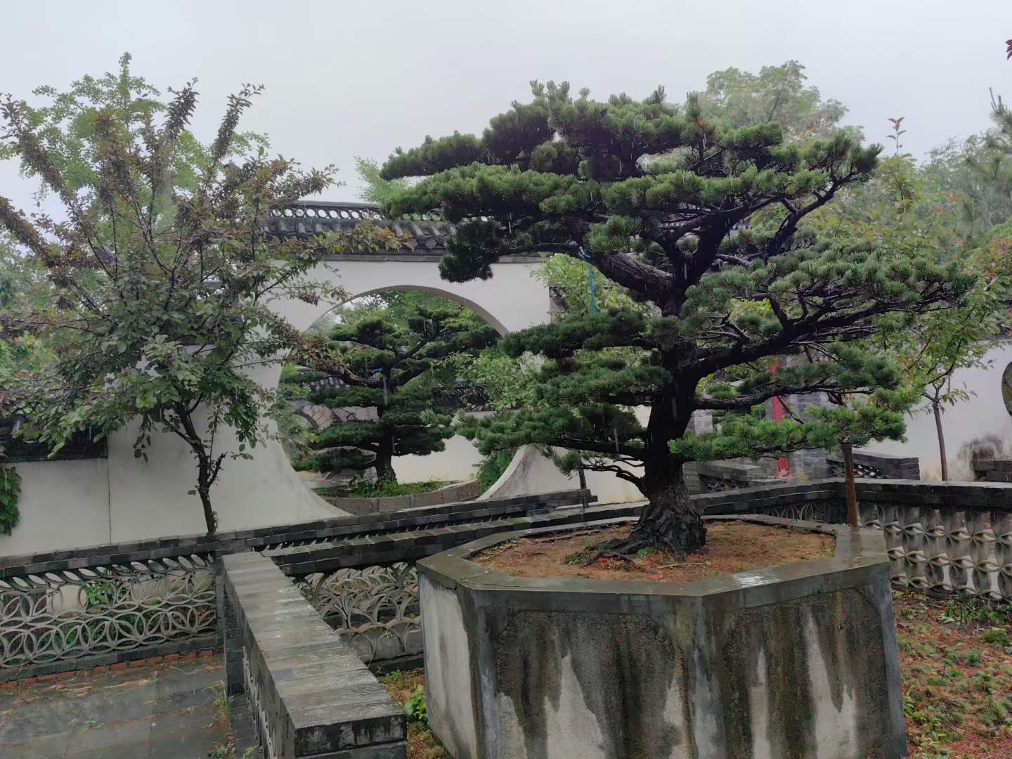 微信图片_2026-05-19_105050_337.jpg