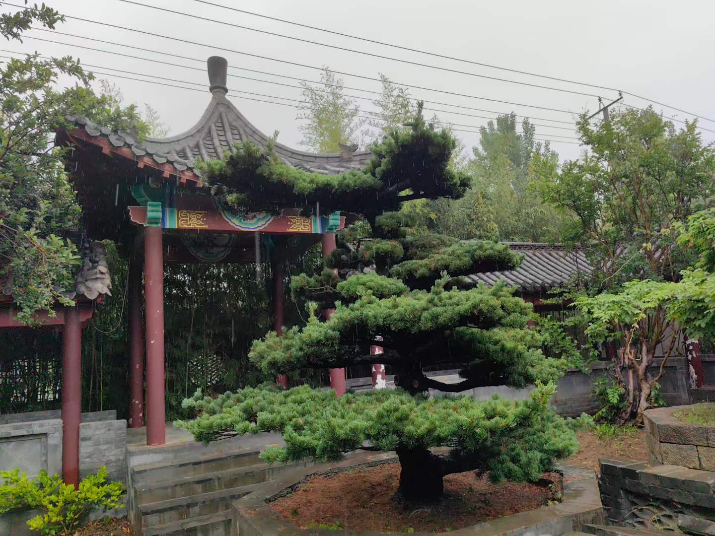 微信图片_2026-05-19_105044_477.jpg