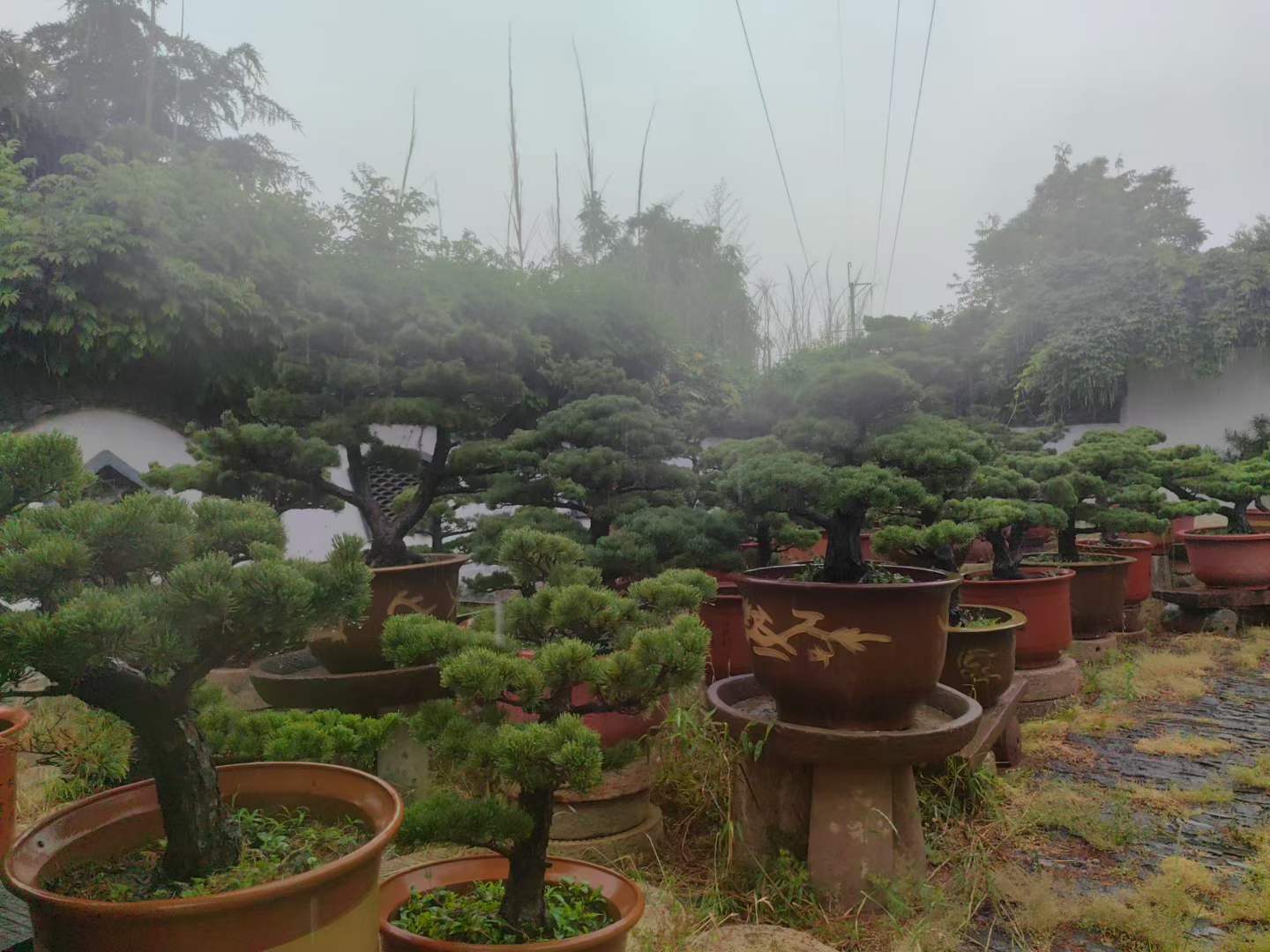 微信图片_2026-05-19_105102_533.jpg