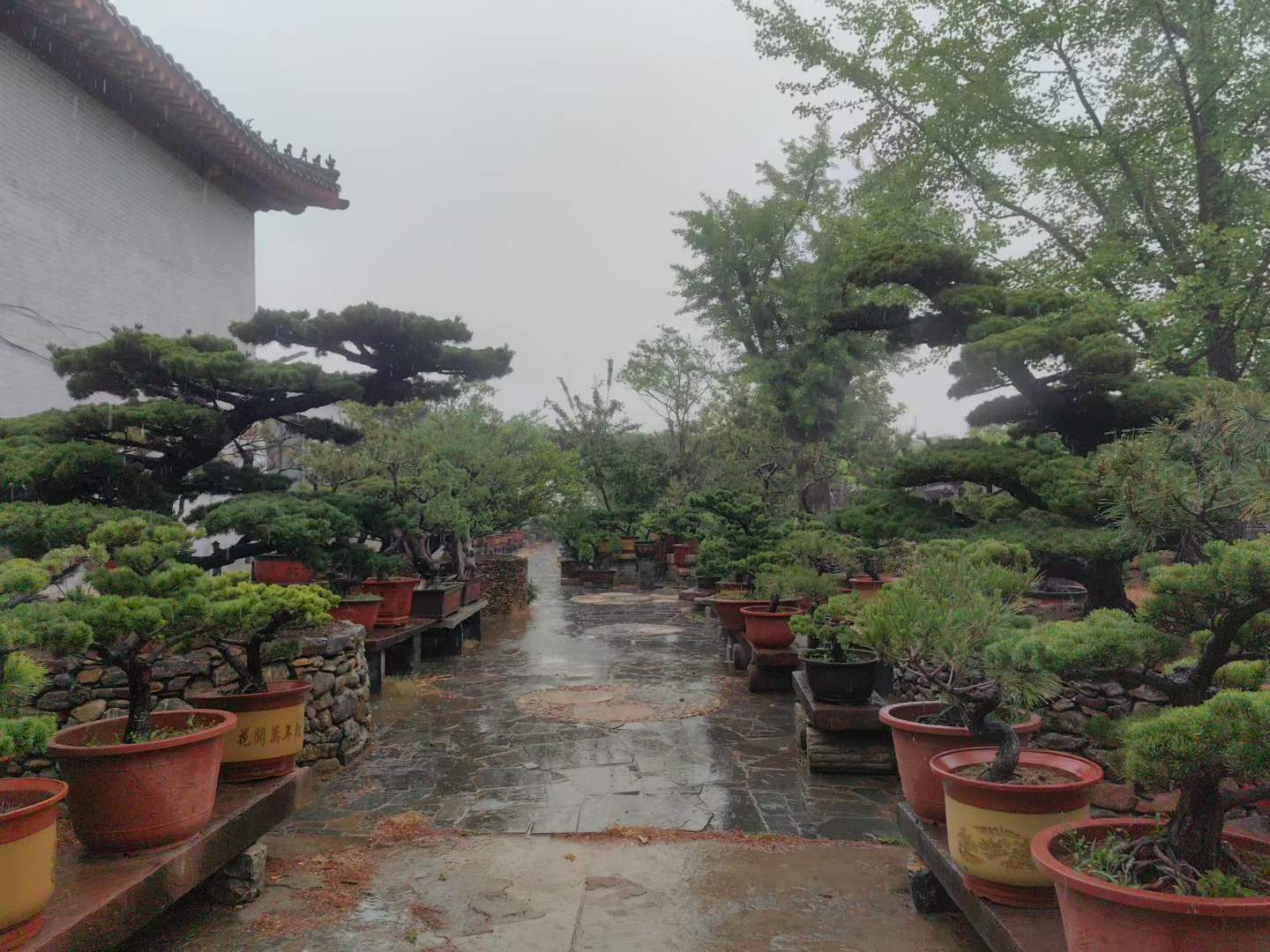微信图片_2026-05-19_105057_803.jpg