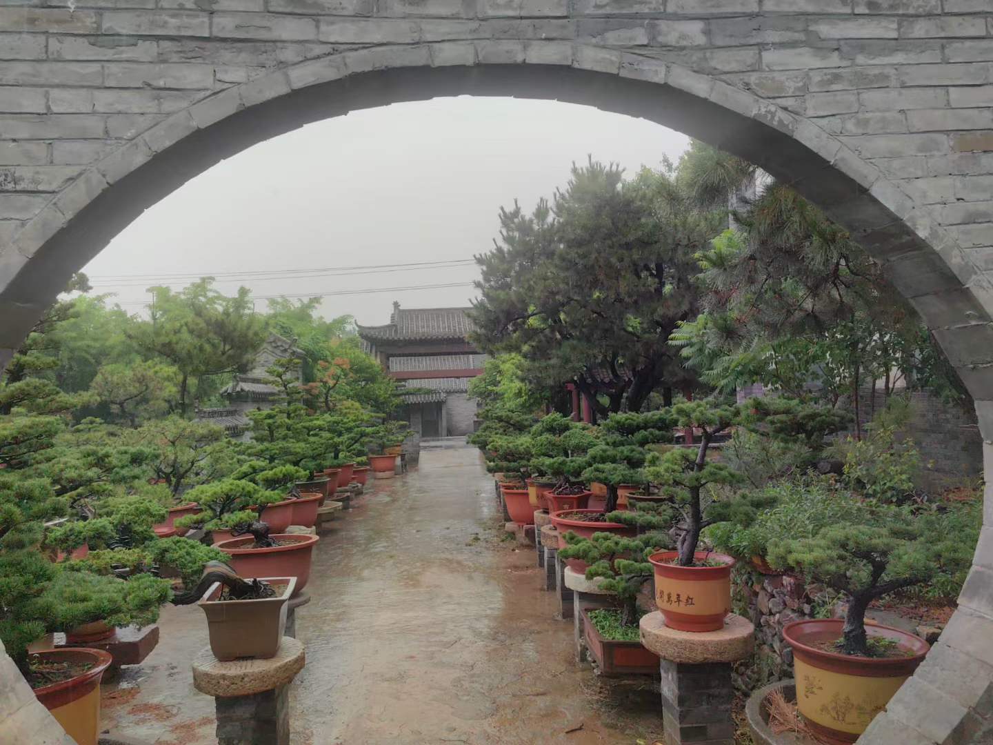 微信图片_2026-05-19_105100_145.jpg